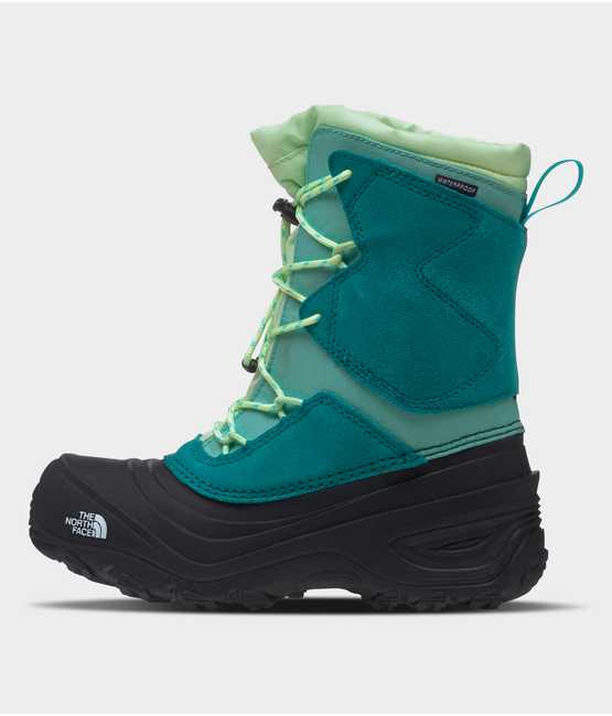 Kids’ Alpenglow V Waterproof Boots