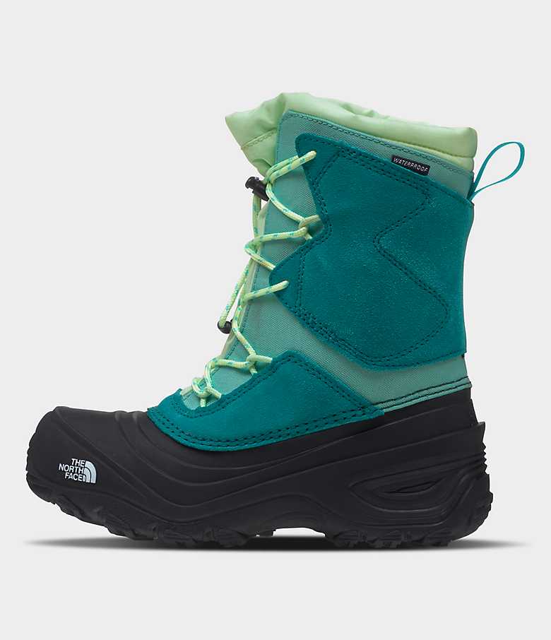 Youth Alpenglow V Waterproof Boots