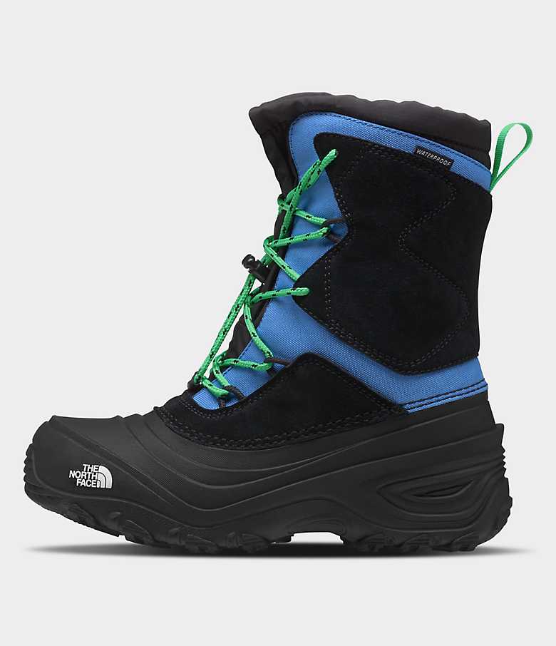 Kids’ Alpenglow V Waterproof Boots