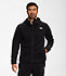 Men’s Alpine Polartec® 200 Full-Zip Hooded Jacket