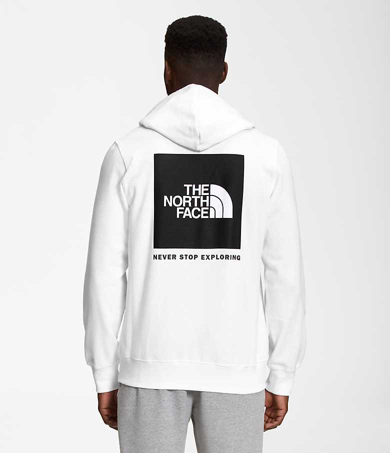 THE NORTH FACE　 PRINTED BOX NSE HOODIE