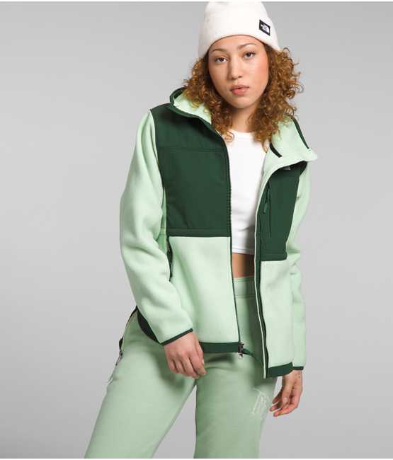 The north face Women’s Denali Hoodie