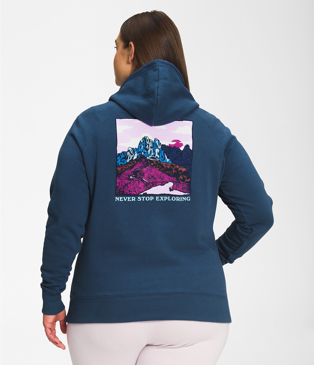 Women’s Plus Graphic Injection Hoodie | The North Face