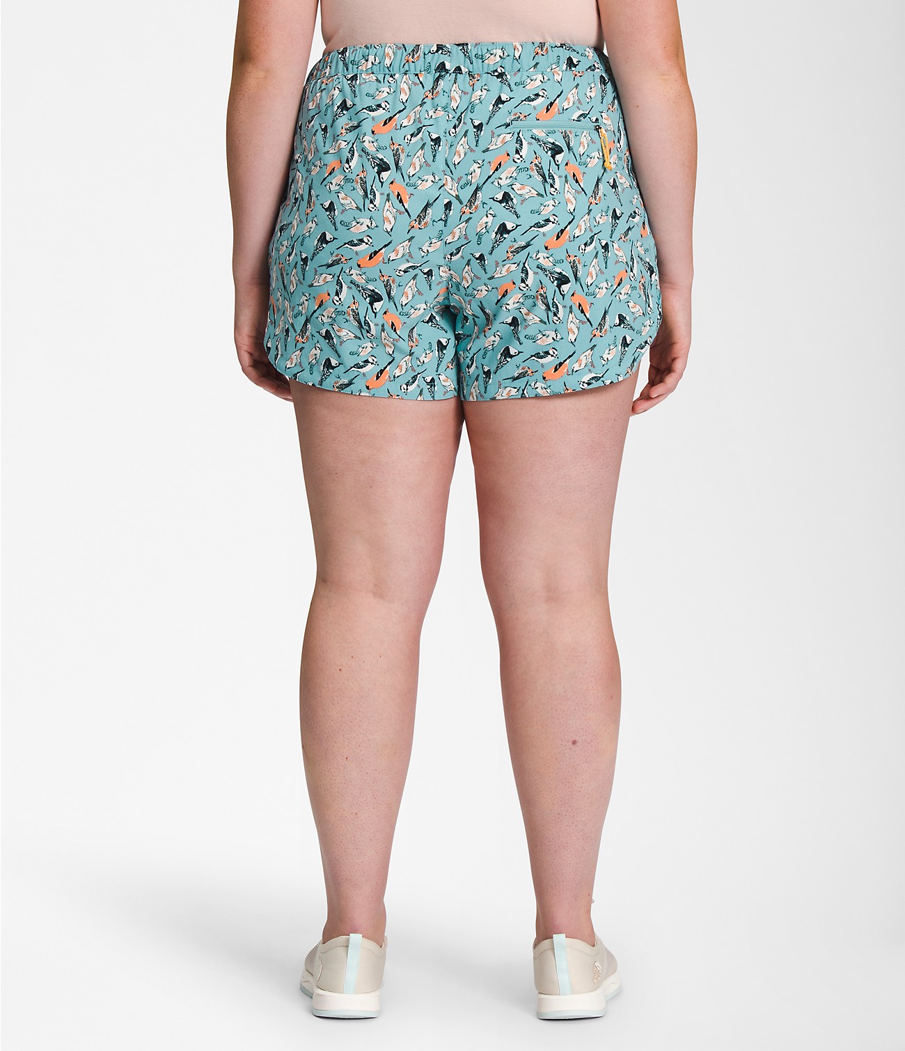 Women’s Plus Class V Shorts | The North Face