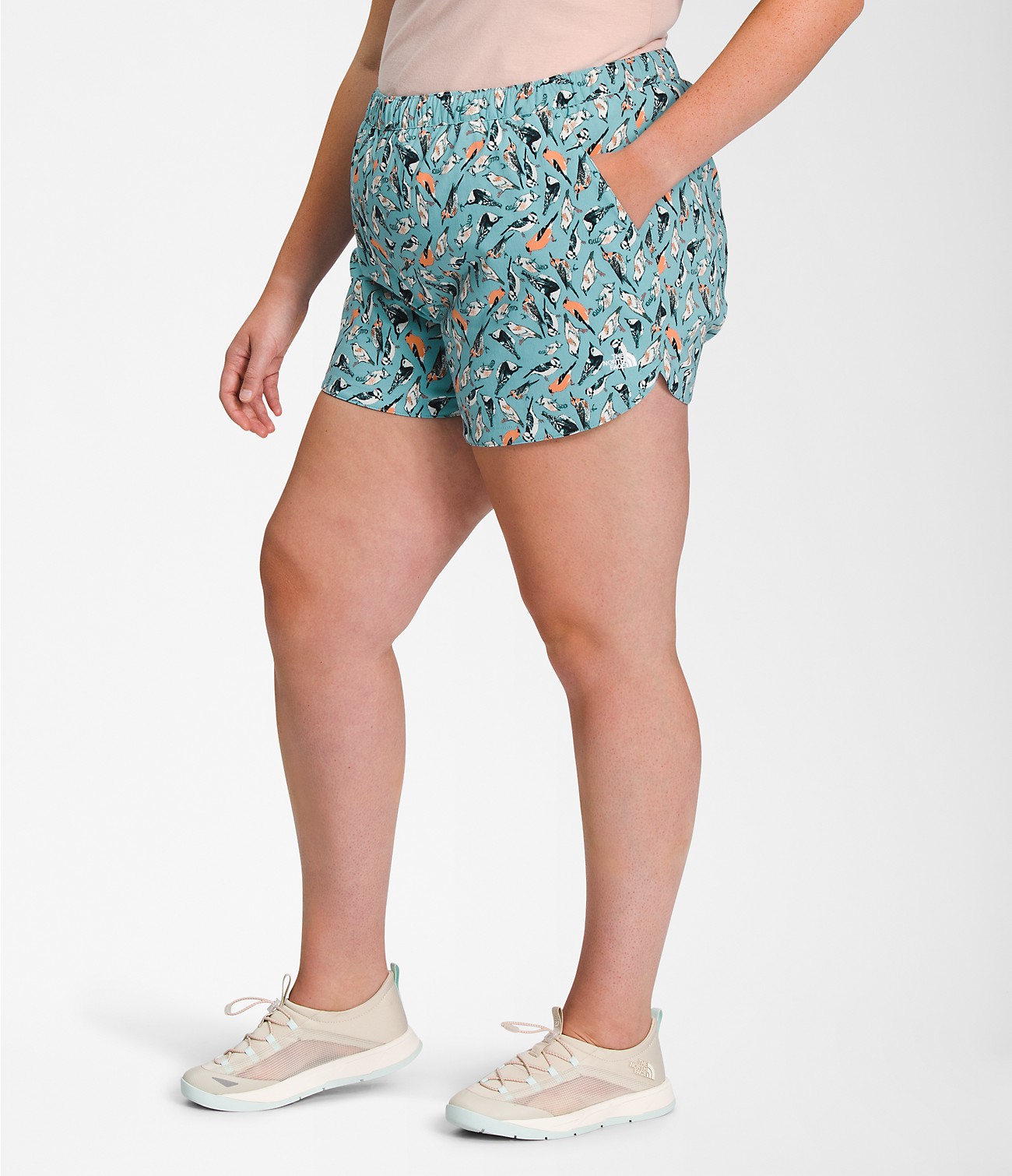 Women’s Plus Class V Shorts | The North Face