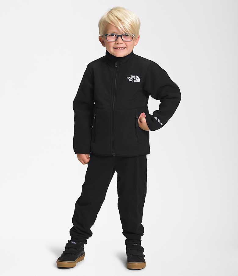 Shop The North Face Little Boy's & Boy's Denali Fleece Jacket