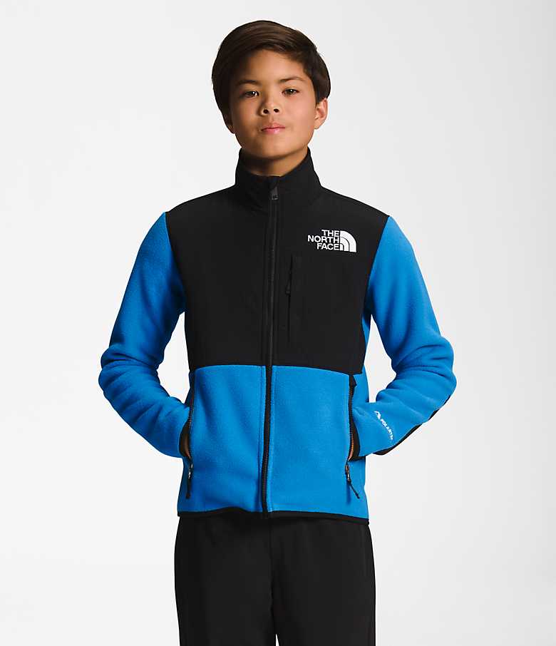The North Face Little Kids 2T-7 Long Sleeve Color Block Denali Jacket