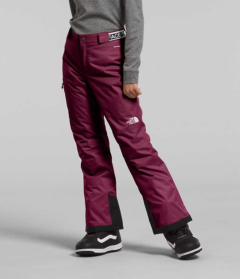 The North Face Boys' Freedom Insulated Pant Past Season