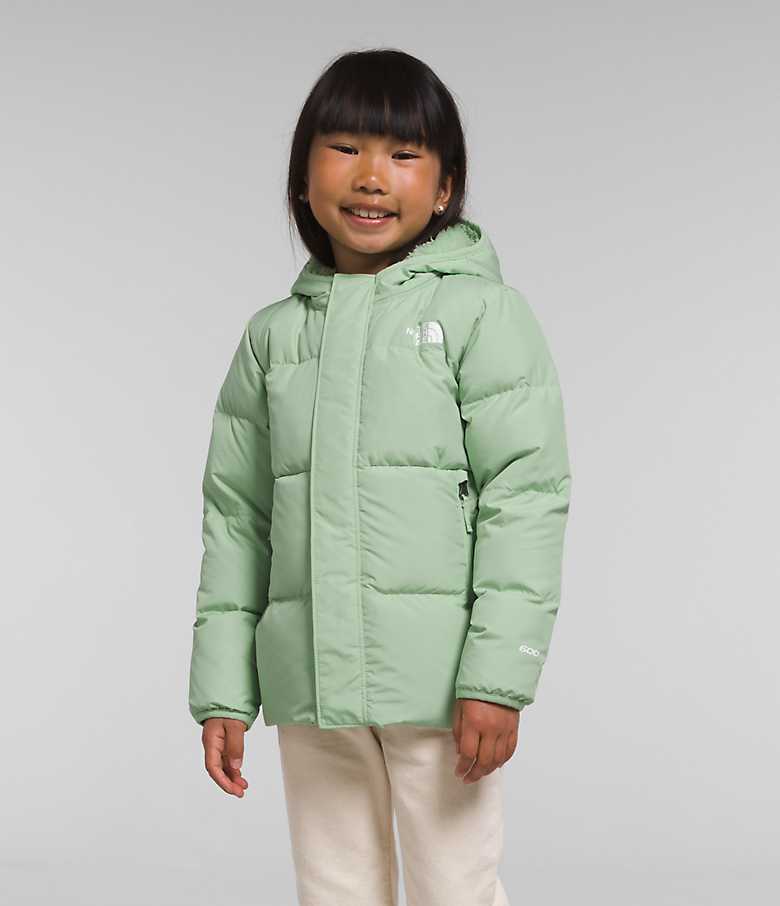 Kids’ North Down Hooded Jacket | The North Face Canada