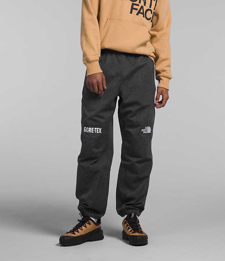 THE NORTH FACE MOUNTAIN PANT-