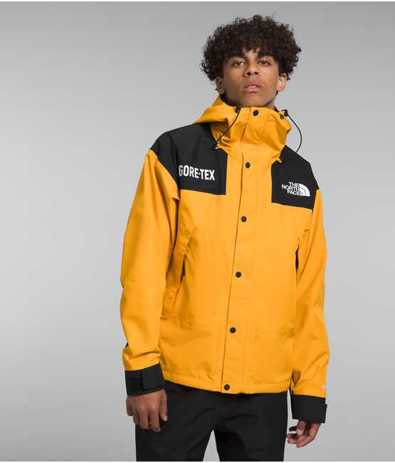 mountain jacket | The North Face