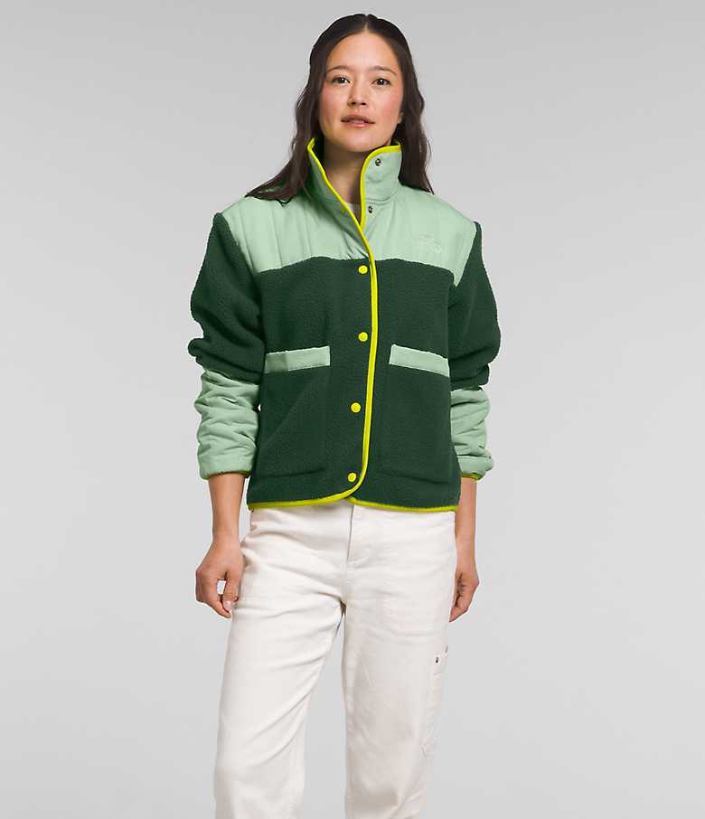 Women's Cragmont Fleece Jacket | The North Face