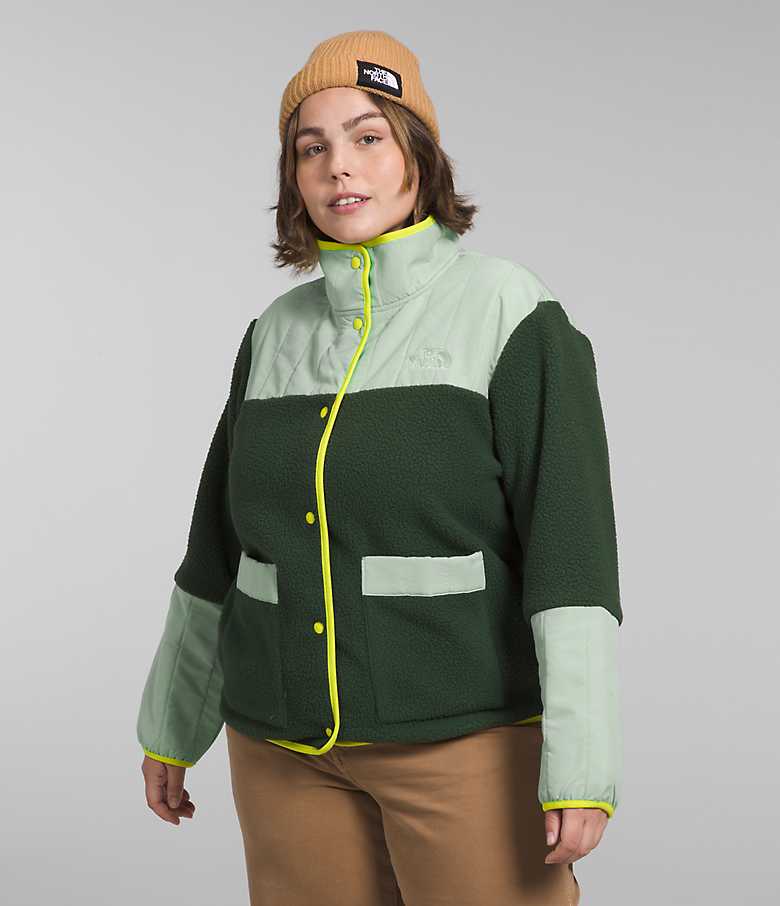 | The Face Women\'s Cragmont North Plus Jacket Fleece