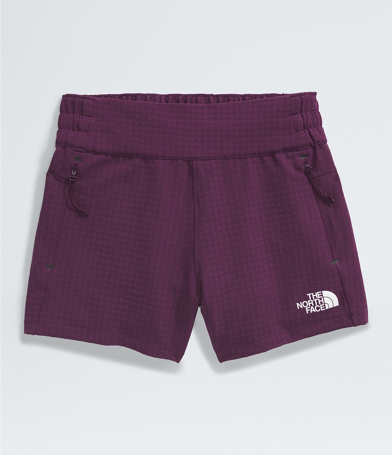 Women’s Tekware™ Grid Shorts | The North Face
