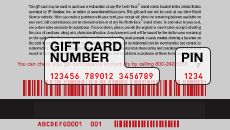 Buy The North Face Gift Cards Online 
