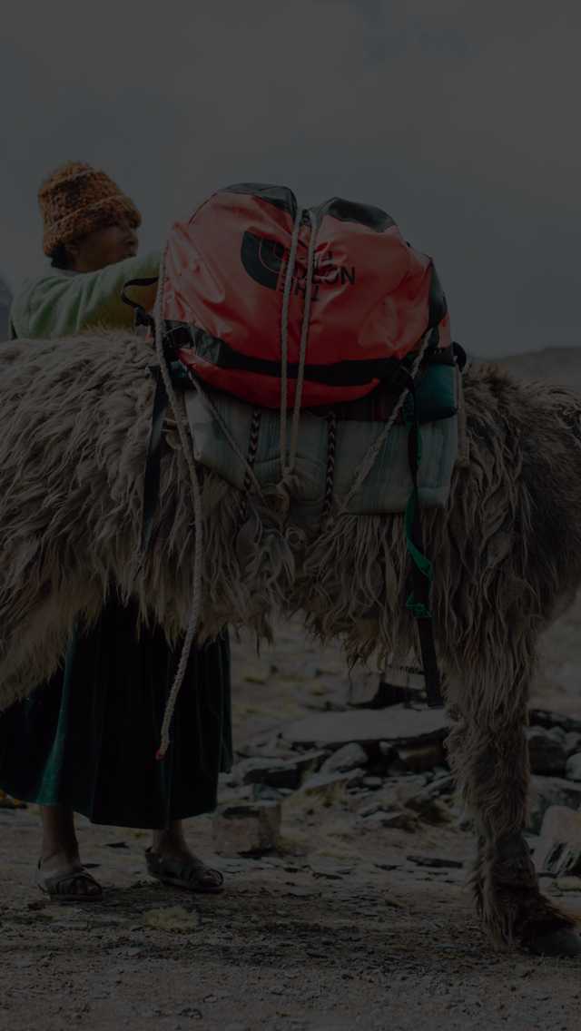 A Base Camp Duffel is strapped to a pack animal in a remote region.