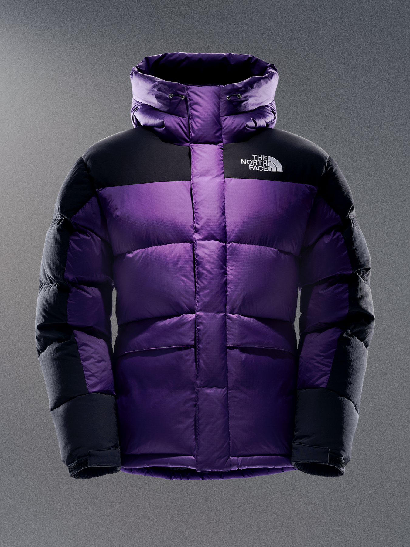 The HMLYN Down Parka | The North Face