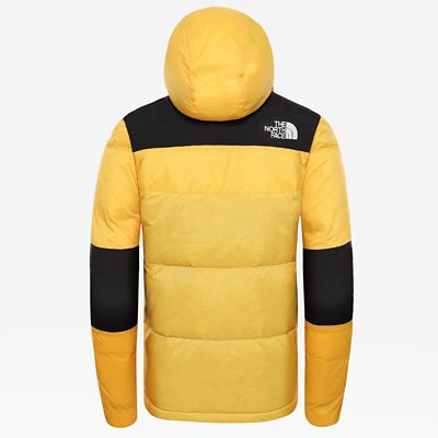 the north face himalayan light down hoody