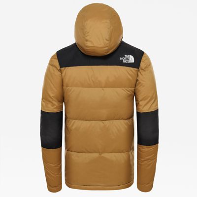 the north face himalayan light down