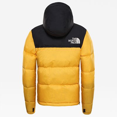 the north face nuptse 1996 dam