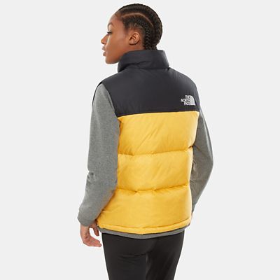 the north face nuptse 1996 dam