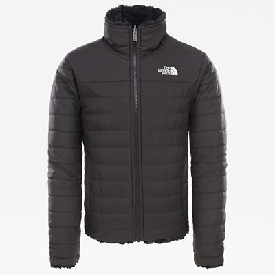 the north face women's reversible mossbud swirl jacket