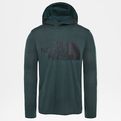 the north face big hoodie