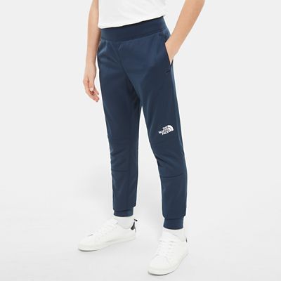 the north face surgent joggers