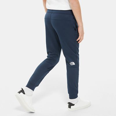 north face surgent poly pant