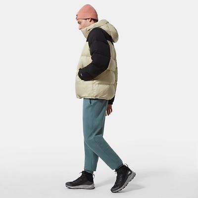 the north face 4qyx