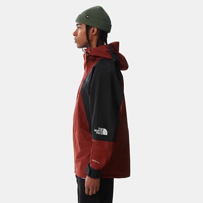 the north face 1994 retro mountain light