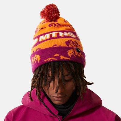 north face ski tuke beanie