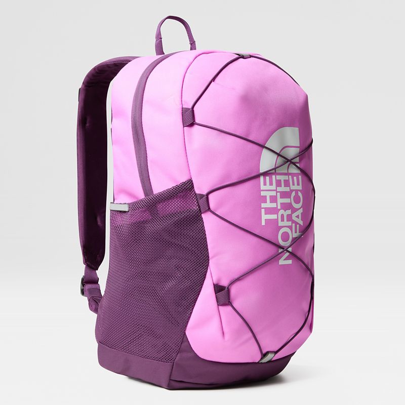 The North Face Teens' Jester Backpack Violet Crocus-black Currant Purple-tnf White One