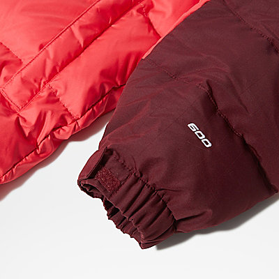 Search and Rescue Himalayan Parka