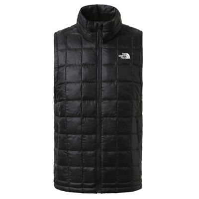 gilet homme north face