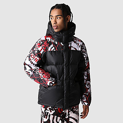 the north face m hmlyn down parka