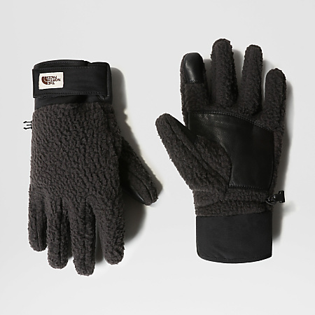 Cragmont Fleece Handschuhe | The North Face