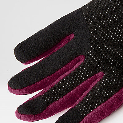 Denali Gloves Etip™ 3