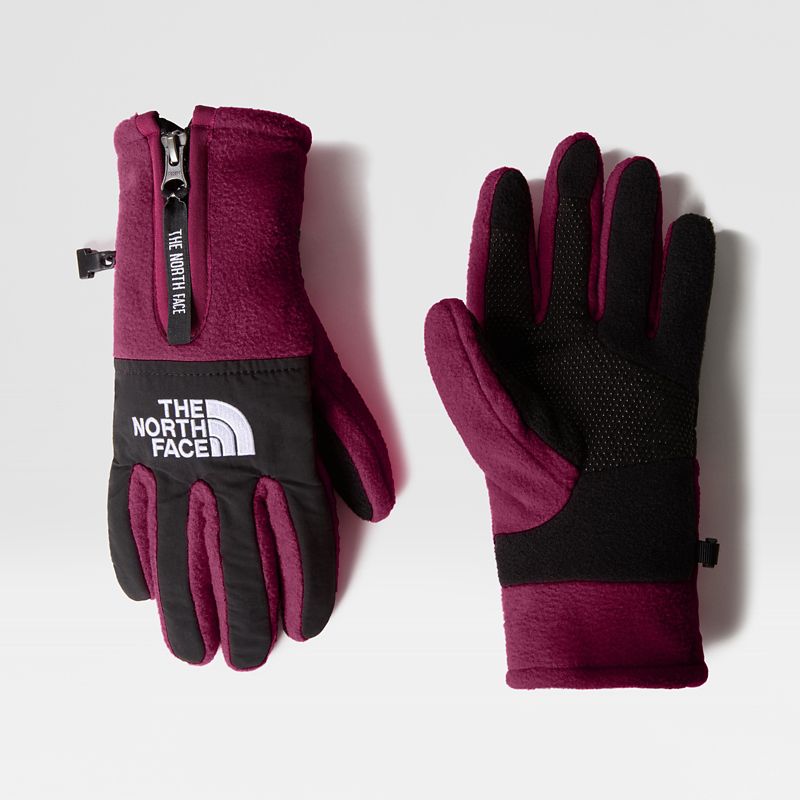 The North Face Guantes Denali Etip™ Boysenberry 