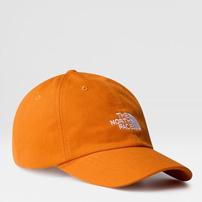 Casquette The North Face Norm Hat Summit Homme NF0A3SH3JK31