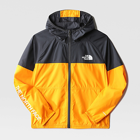 Boys' Never Stop WindWall™ Hooded Jacket | The North Face