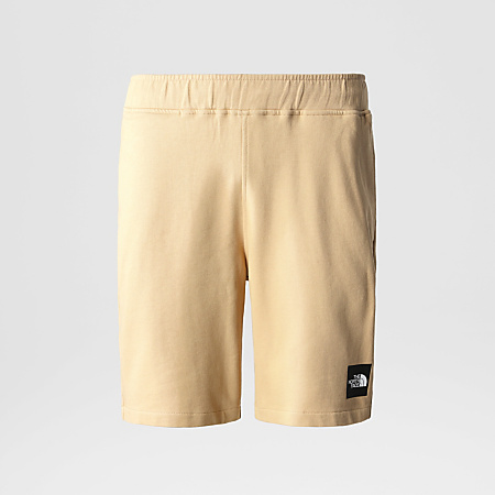 The North Face - Men's Summer Logo Shorts