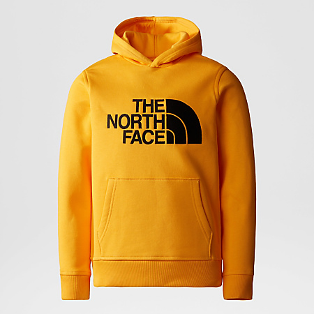 Boys' Drew Peak Hoodie | The North Face