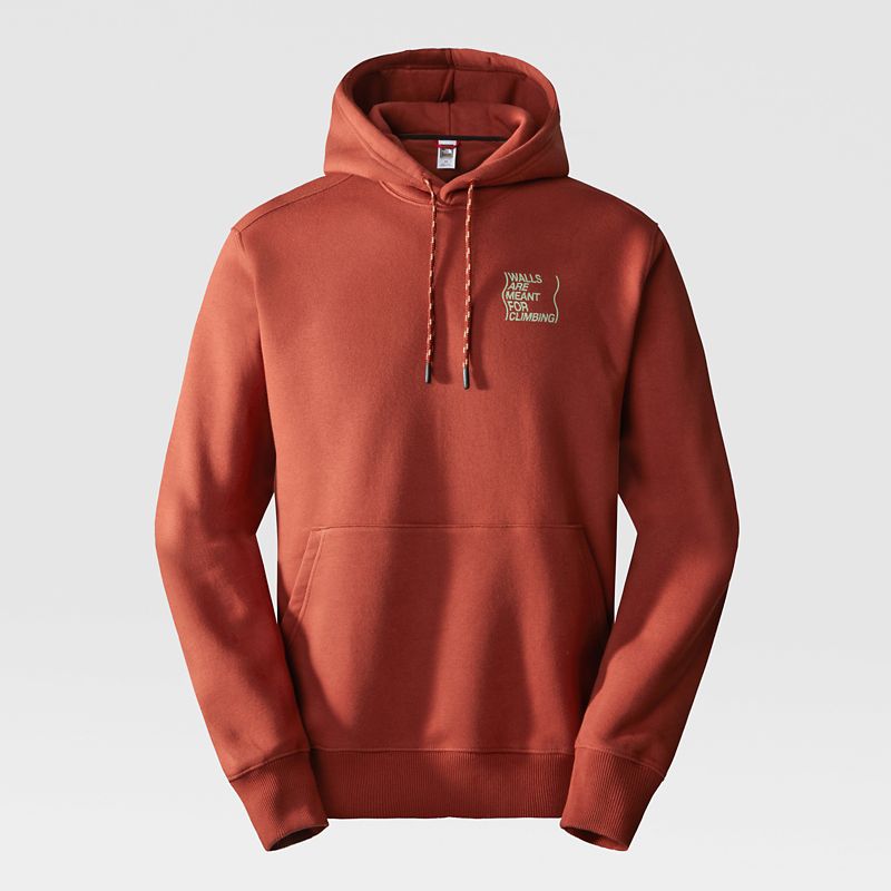 The North Face Men's Outdoor Graphic Hoodie Brandy Brown