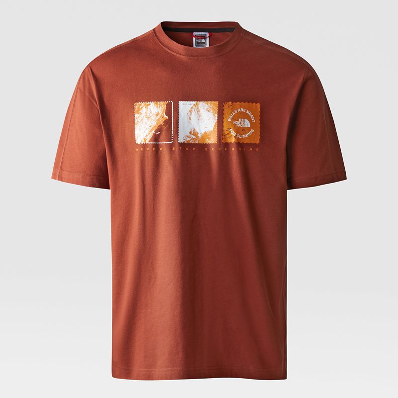The North Face Men's Outdoor Graphic T-shirt Brandy Brown