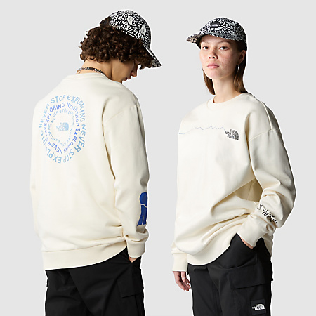 NSE Graphic-sweater | The North Face