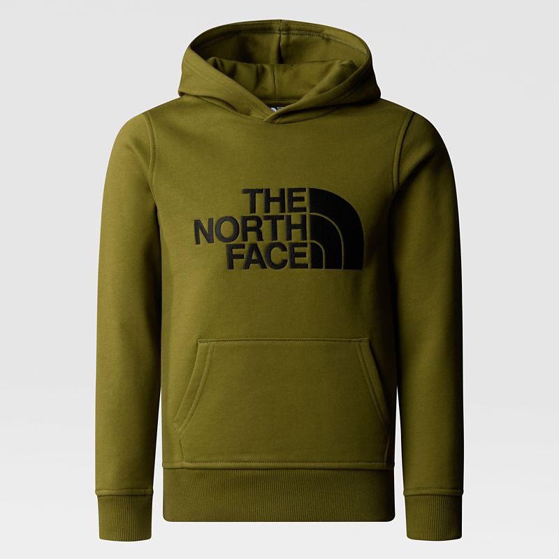 The North Face Boys' Drew Peak Hoodie Forest Olive