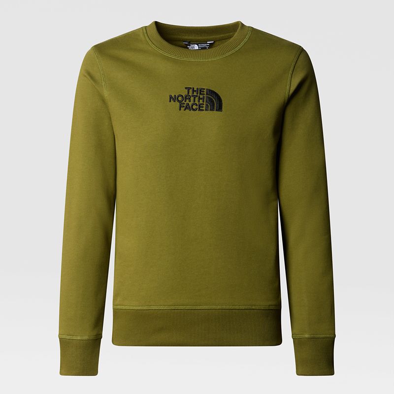 The North Face Boys' Light Drew Peak Sweater Forest Olive